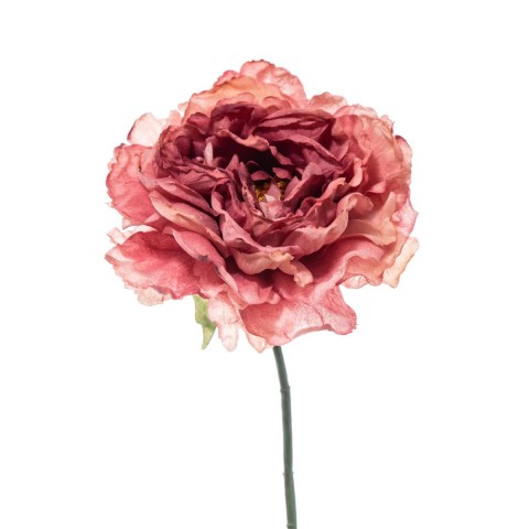 PICK PEONIA DRY PINK 28CM